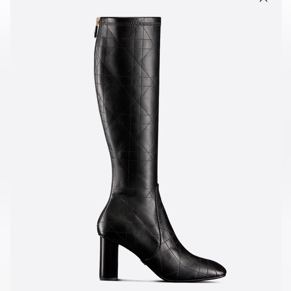 Dior D-Shadow Boot